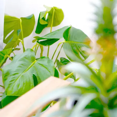 Lägenhet Nalua Maison - Casa Al Mare Montesilvano Marina